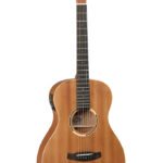 Tanglewood TWR2 PE Guitar