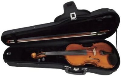 Eastman VL80 1/4 Violin Set
