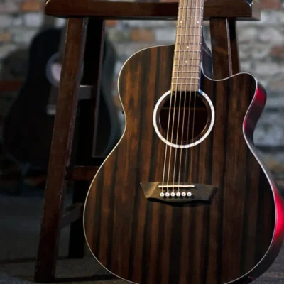 Washburn DFEACE Acoustic Guitar