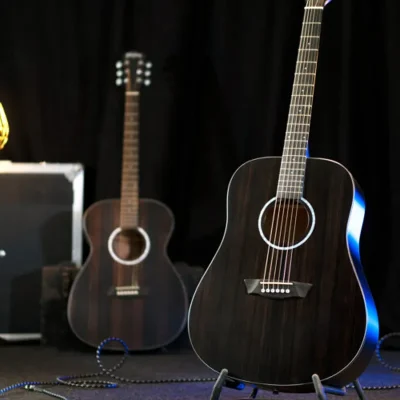 Washburn Deep Forest Ebony – Striped Ebony DDFED Guitar