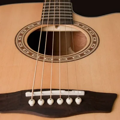 Washburn WD7SCE Acoustic-Electric Guitar