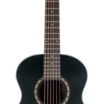 Washburn Apprentice Series 6-String Acoustic Guitar