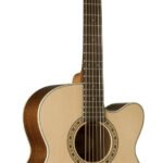 Washburn Harvest Series WG7SCE