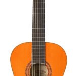 Washburn Classical Acoustic Guita