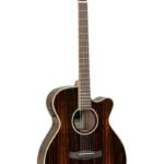 Tanglewood DBT SFCE AEB Guitar