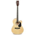 Whyte Audio Acoustic Guitar