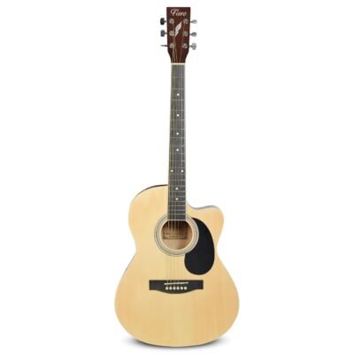 Whyte Audio Acoustic Guitar