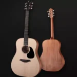 Furch Violet EM Acoustic Guitar