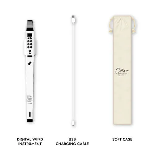 DIGIITAL-WIND-INSTRUMENT-ACCESSORIES