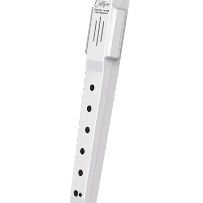 Blackstar Carry-On Digital Wind Instrument