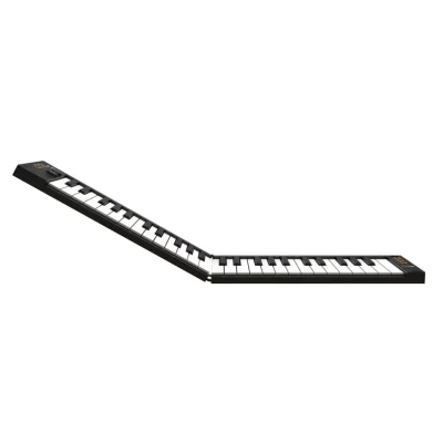 Blackstar Carry-On Folding Controller 49