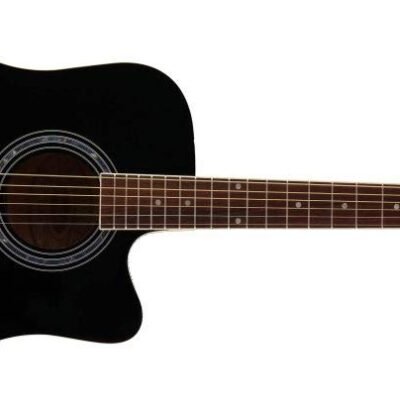 Washburn WA90 CEB Acoustic Guitar