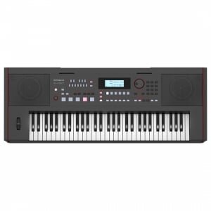 Roland E-X50 61-Keys Arranger Keyboard 1
