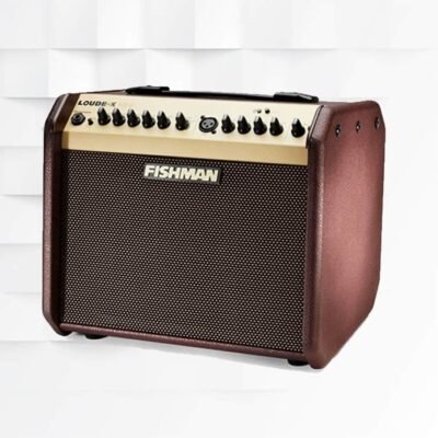 96041_Fishman Loudbox Mini With Bluetooth PRO-LBT-EU5 60-Watts Acoustic Guitar Amplifier