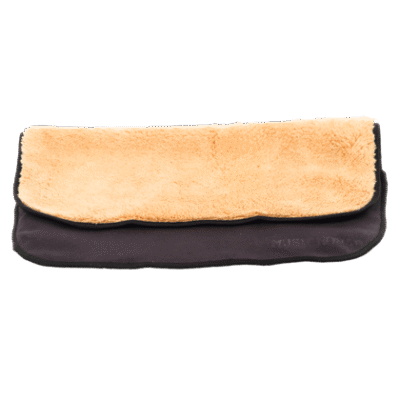 MN241 Transparent Background