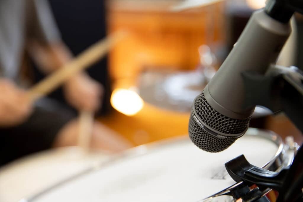 Telefunken M81-SH Dynamic Microphone (7)