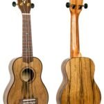 Flight Designer Series DUS430 2