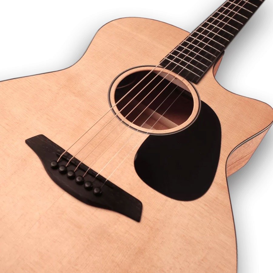 Furch MC Violet Gc-SM SPE LR Baggs SPE With Furch Gig Bag (10)