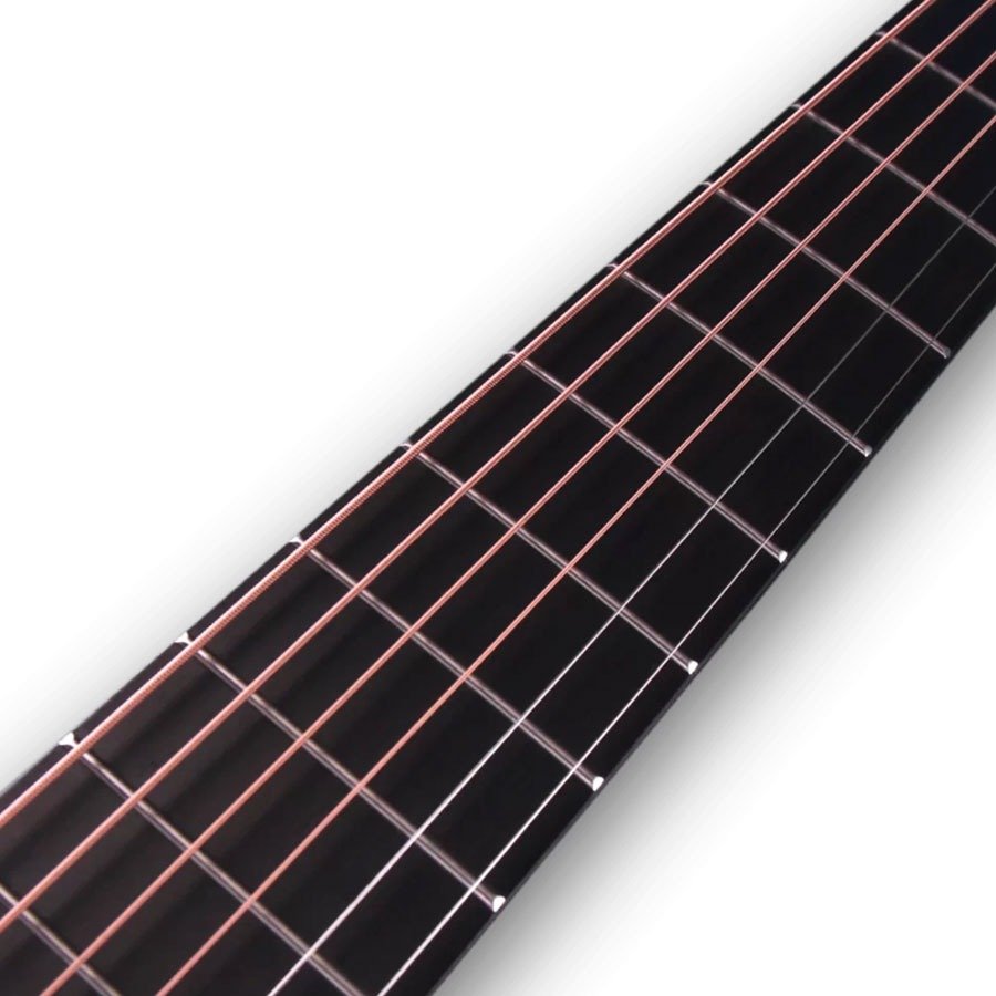 Furch MC Violet Gc-SM SPE LR Baggs SPE With Furch Gig Bag (11)