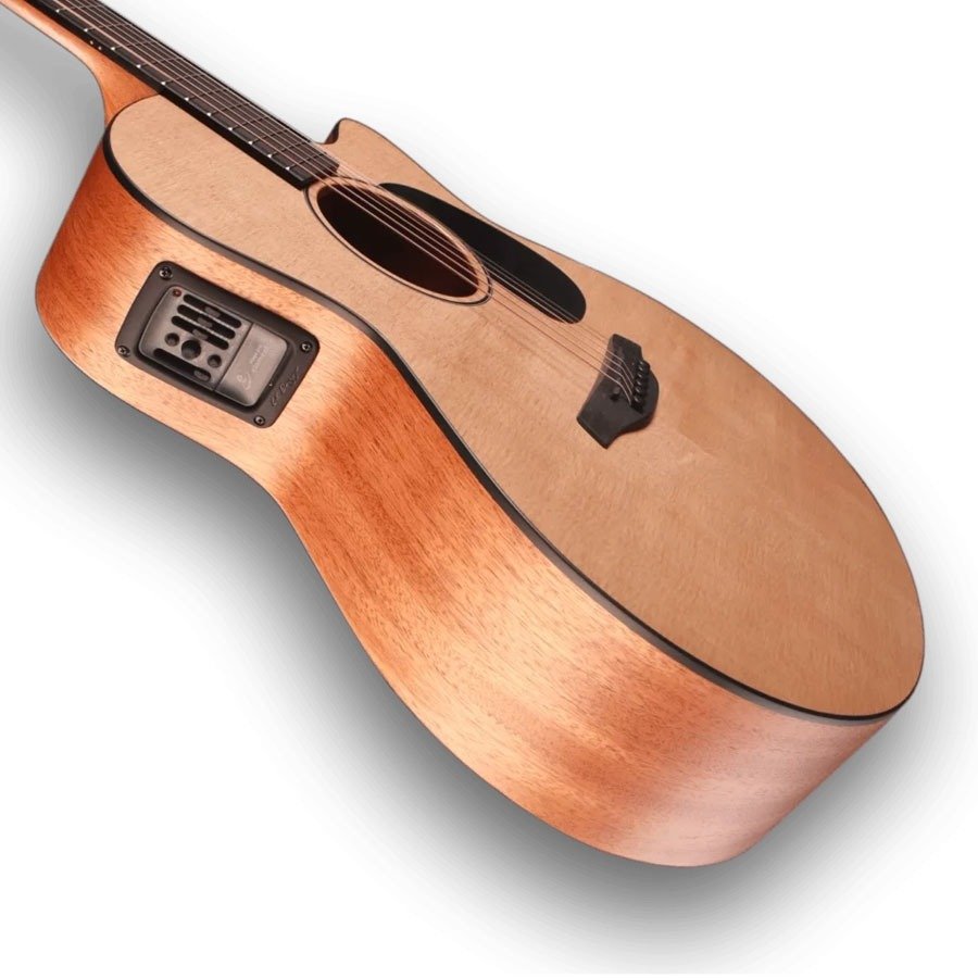 Furch MC Violet Gc-SM SPE LR Baggs SPE With Furch Gig Bag (6)