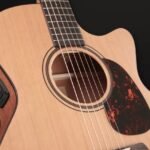 Furuch MC Blue Gc-CM (L.R.Baggs SPE) (8)