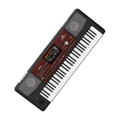 Korg PA700 5