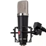 Lauten Audio LA-220 V2 Condenser Microphone (1)