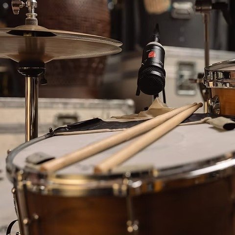 Lauten Audio LS-408 Microphone (3)