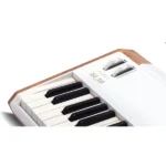 Arturia AstroLab 61 Key Stage Keyboard (3)