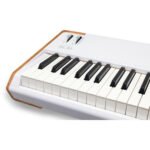 Arturia AstroLab 88 Stage Keyboard (2)