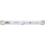 Arturia AstroLab 88 Stage Keyboard (5)