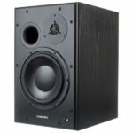 Dynaudio BM15A 10 inch Powered Studio Monitor (Right Side) (6)