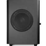 Kali Audio WS 6.2 Dual Powered Subwoofer (4)