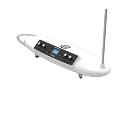 Moog Theremini Analog Synthesizer (2)