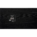 Avantone Pro CLA-10 Passive Chris Lord Alge Studio Monitors (Pair) (3)