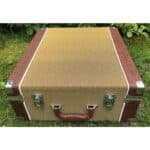 Golden Age Project R1 ST Vintage Style Stereo Ribbon Microphone (1)