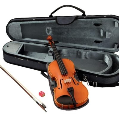 V5SC Acoustic Violin