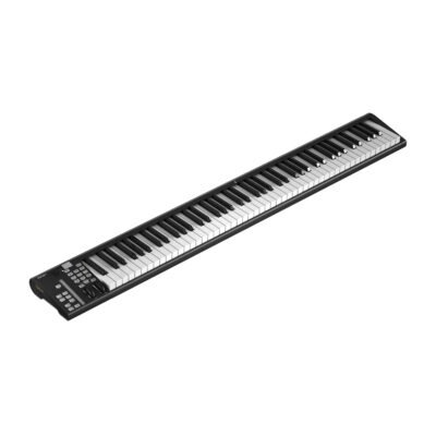 iCON Pro Audio Artist X MIDI Keyboard Controller Series (Artist 88X)