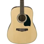 Ibanez PF15 2