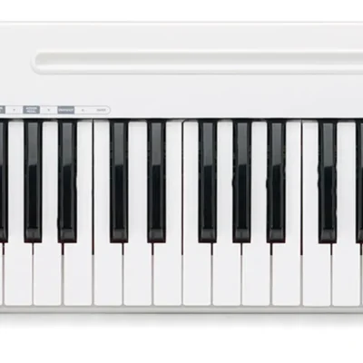 Samson Carbon 61 USB MIDI Controller (4)