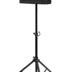 Samson RSXM12A 800W 2-Way Active Stage Monitor (1)