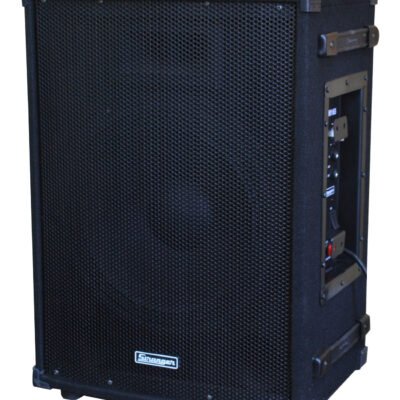 Stranger PM165 Powered Monitor