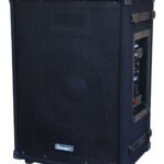 Stranger PM25 Vocal, Guitar & MP3 Player with Cordless Microphone (2)