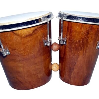 bongo