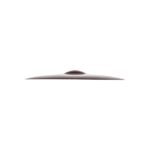 Zildjian Cymbals,20 A AVEDIS RIDE AA20R (4)